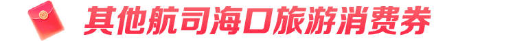 其他航司海口旅游消费券