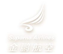 金鹏航空