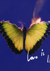 Maroon 5 《Love Is Like》