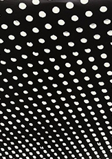 Beach House 《Bloom》