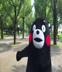 Let's Go! 熊本熊