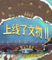 上线了文物 第2季