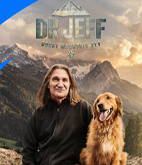 热血兽医师 第7季