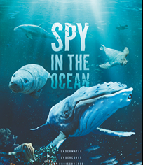 海洋间谍
