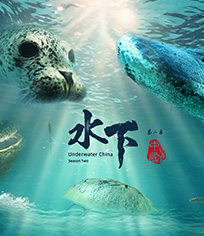 水下中国 第2季