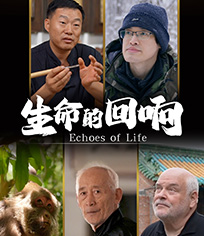 生命的回响