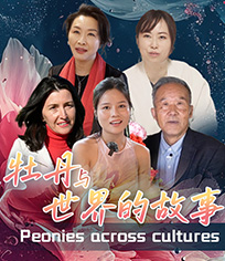 牡丹与世界的故事
