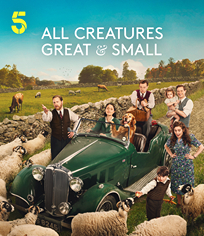 万物生灵 第6季