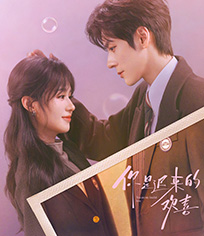 你是迟来的欢喜