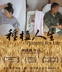 种植人生